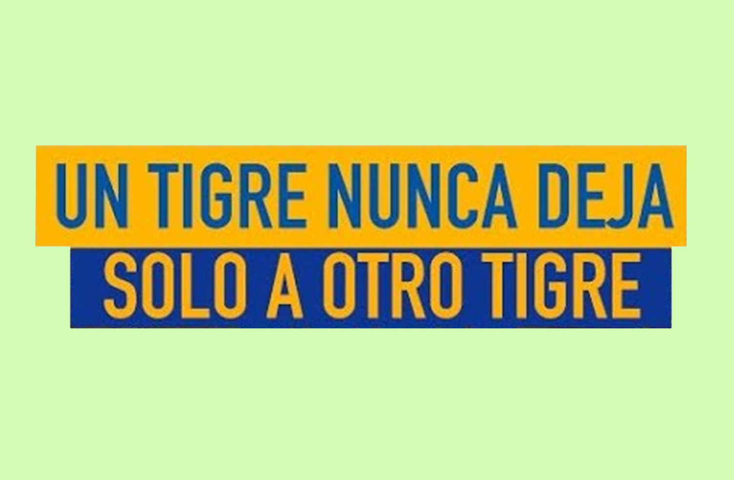 tigre nunca deja web
