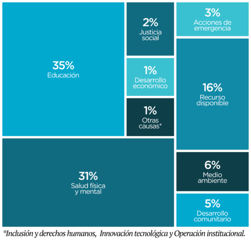 informe anual grafica